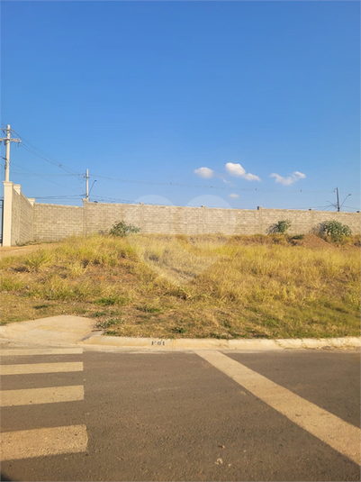 Foto REO1123460