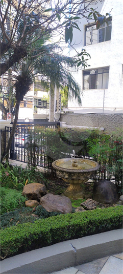 Foto REO1123477