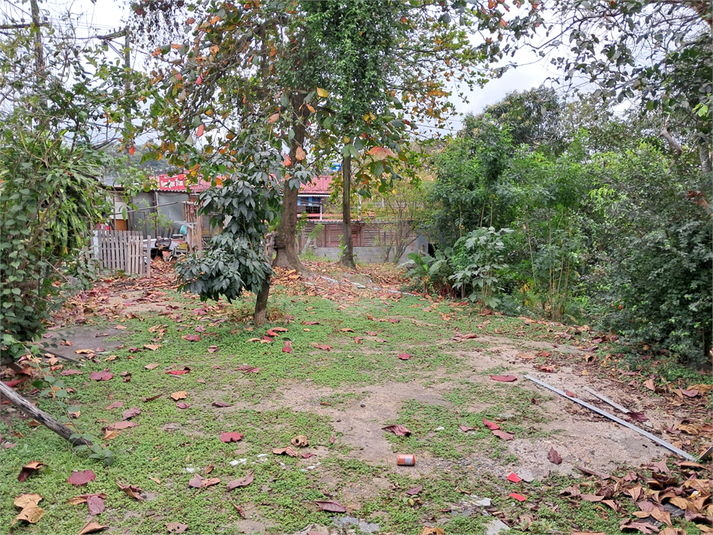 Foto REO1123489