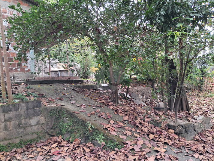 Foto REO1123489