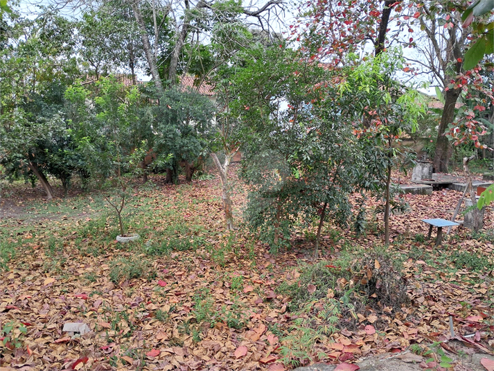 Foto REO1123489