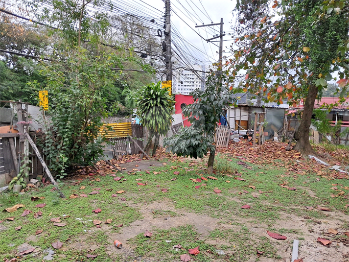 Foto REO1123489