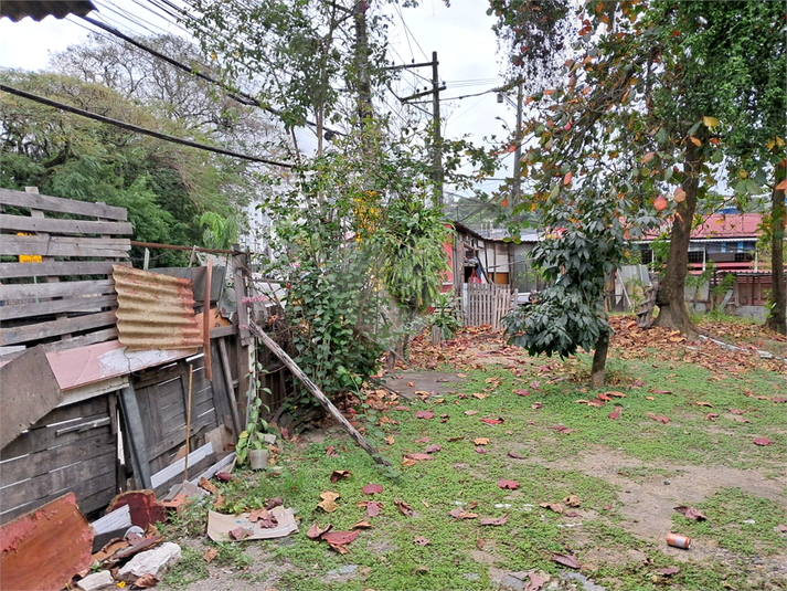 Foto REO1123489