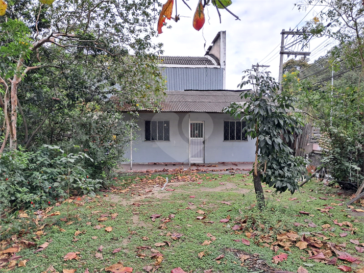 Foto REO1123489
