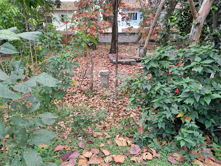Foto REO1123489