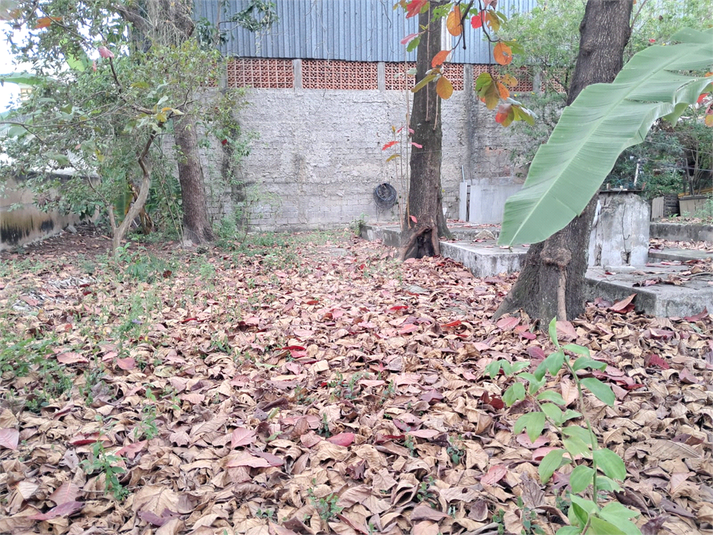 Foto REO1123489