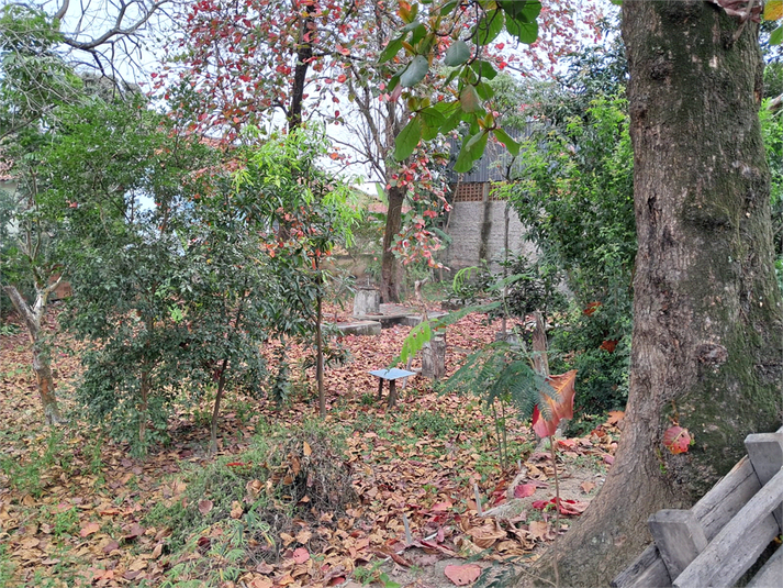Foto REO1123489