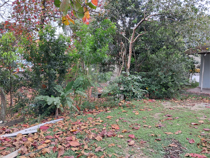 Foto REO1123489