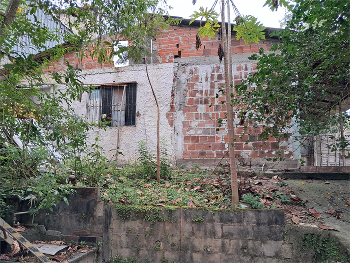 Foto REO1123489