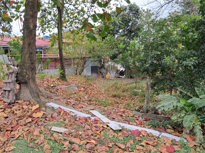 Foto REO1123489