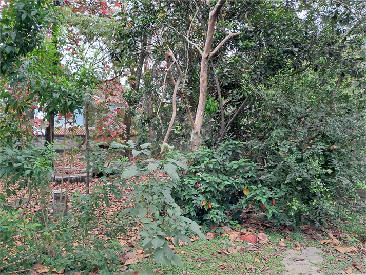 Foto REO1123489