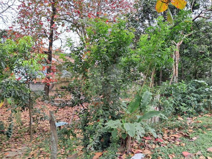 Foto REO1123489
