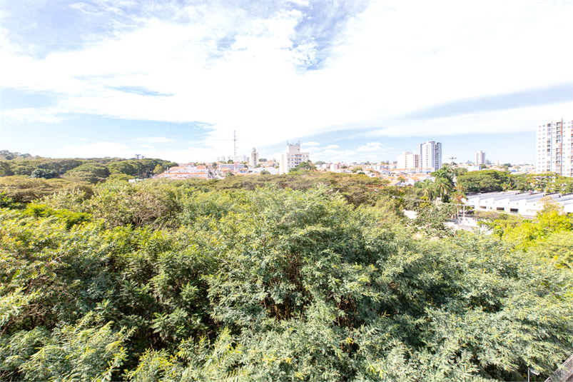 Foto REO1123490