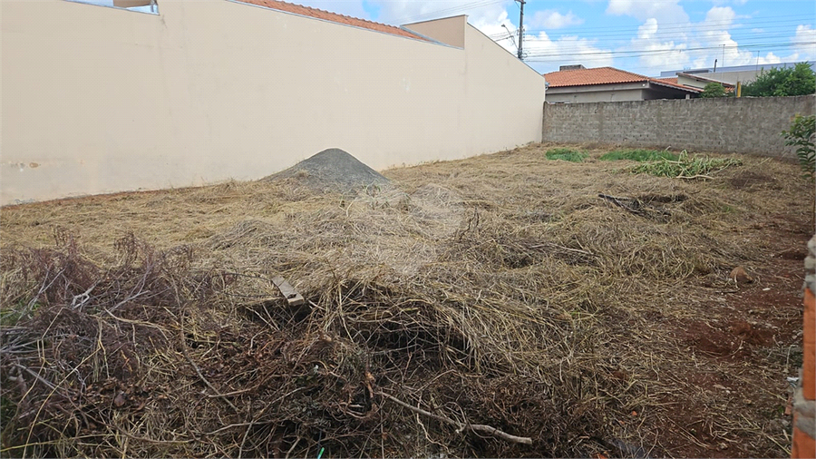 Foto REO1123492