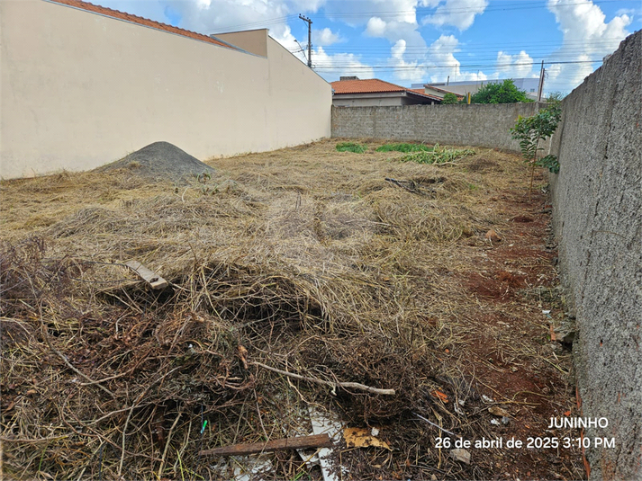 Foto REO1123492