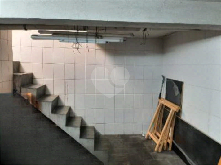 Foto REO1123526