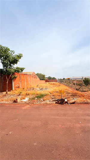 Foto REO1123547