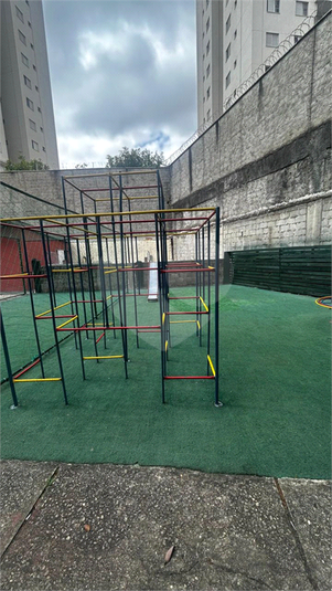 Foto REO1123553