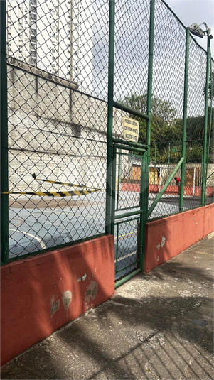 Foto REO1123553