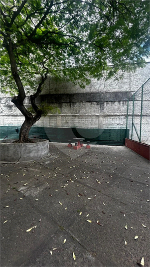 Foto REO1123553
