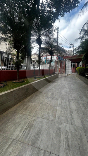 Foto REO1123553