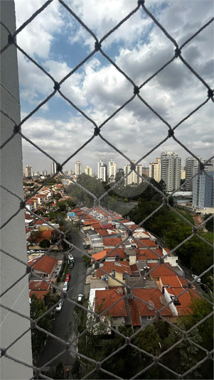 Foto REO1123559