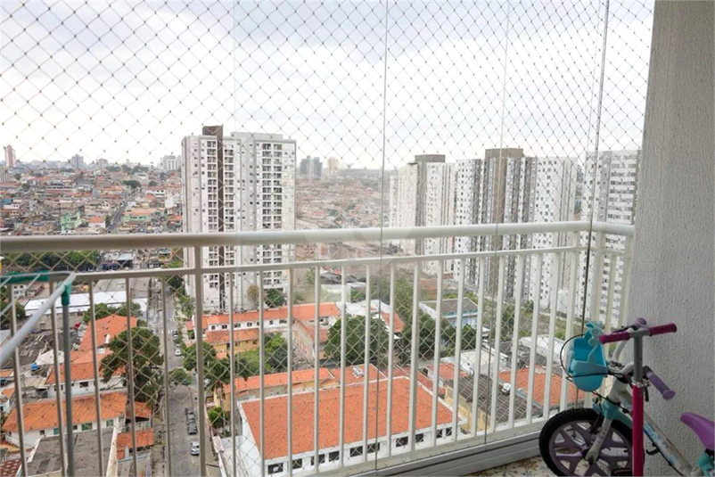 Foto REO1123566