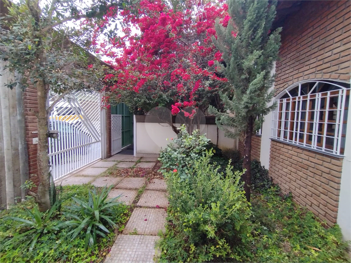 Foto REO1123576
