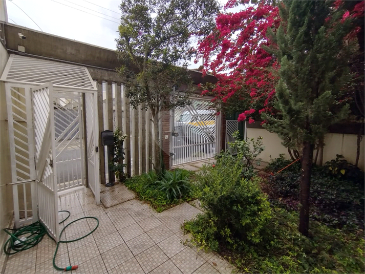 Foto REO1123576