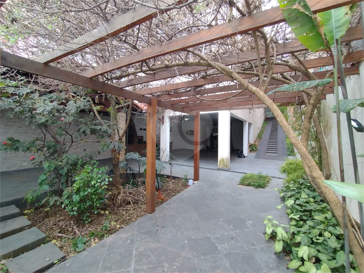 Foto REO1123576