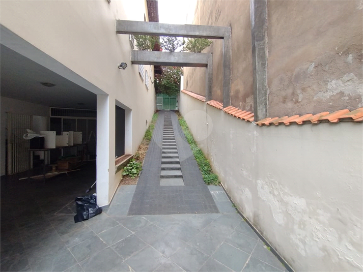 Foto REO1123576