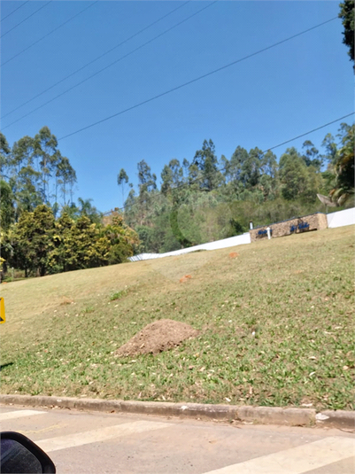 Foto REO1123581