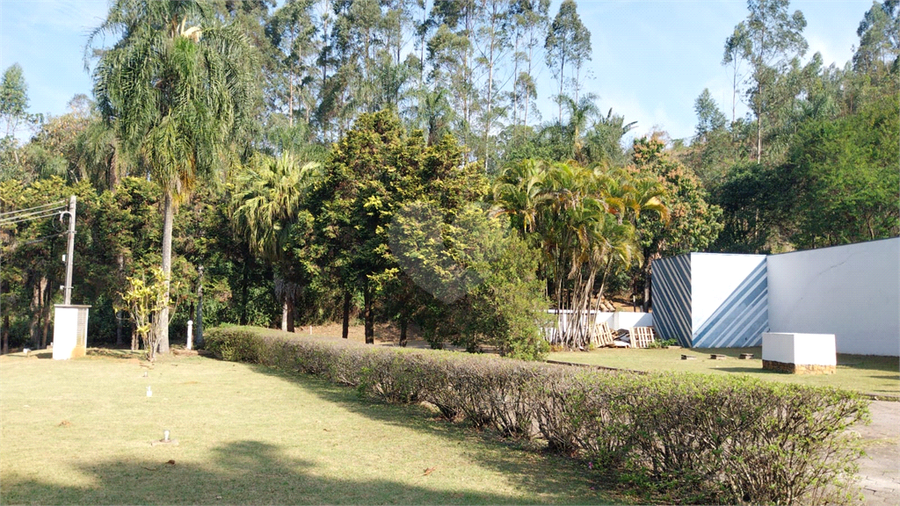 Foto REO1123581