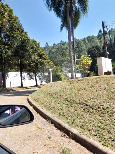 Foto REO1123581