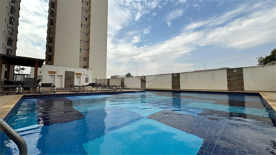 Foto REO1123583