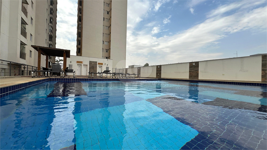 Foto REO1123583