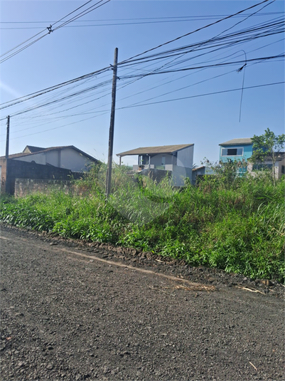 Foto REO1123611