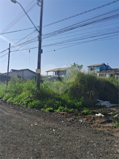 Foto REO1123611