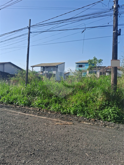 Foto REO1123611