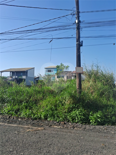Foto REO1123611