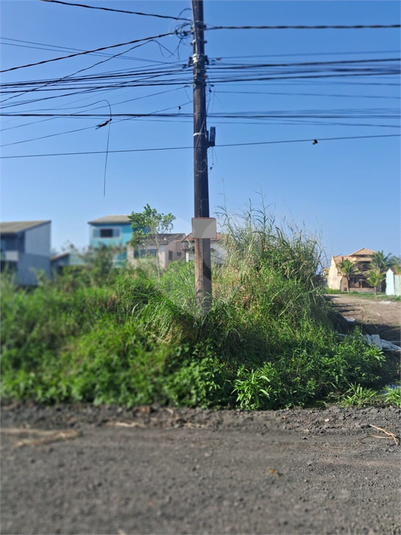 Foto REO1123611
