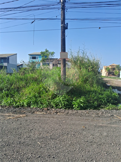 Foto REO1123611