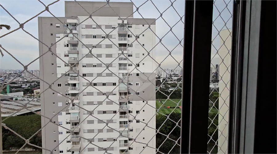 Foto REO1123630