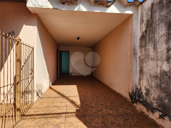 Foto REO1123635