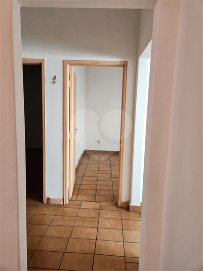 Foto REO1123635