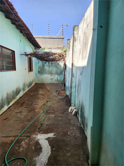 Foto REO1123635