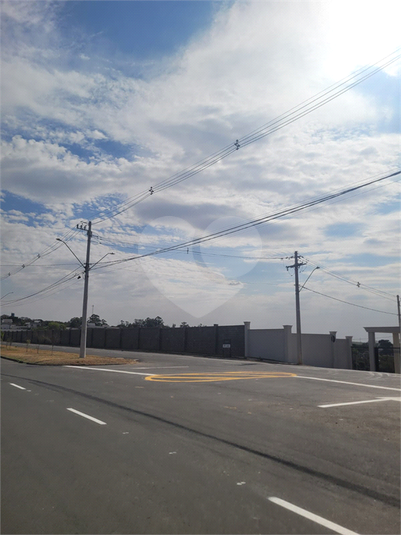 Foto REO1123659