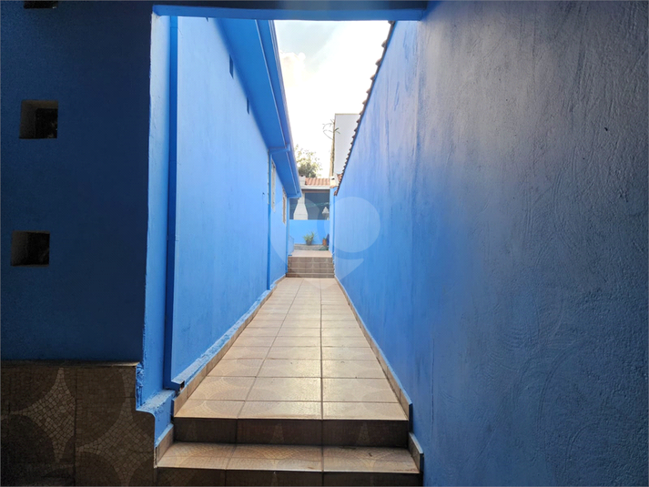 Foto REO1123660