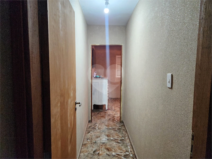 Foto REO1123660