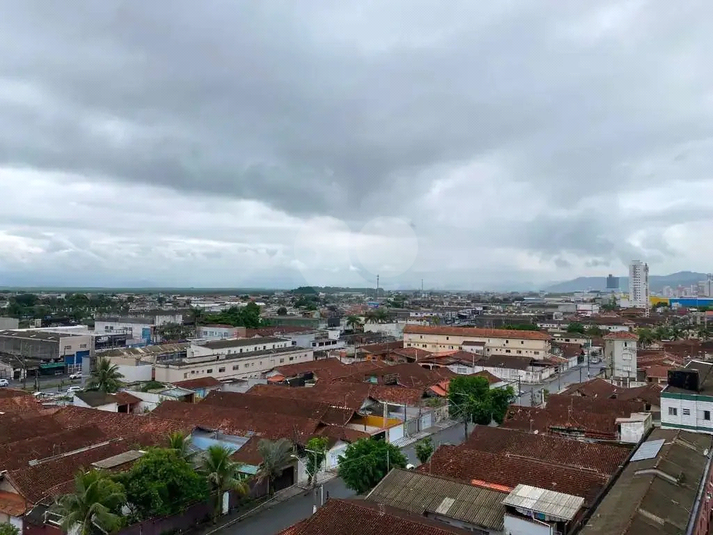 Foto REO1123665